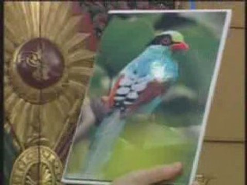 CELAL HOCA EĞİTİMDE - DERS 11