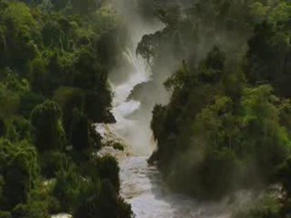 HOME - extrait arbres/déforestation