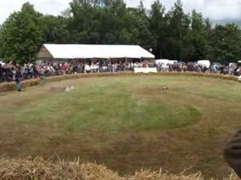 demonstration fougerolles du plessis