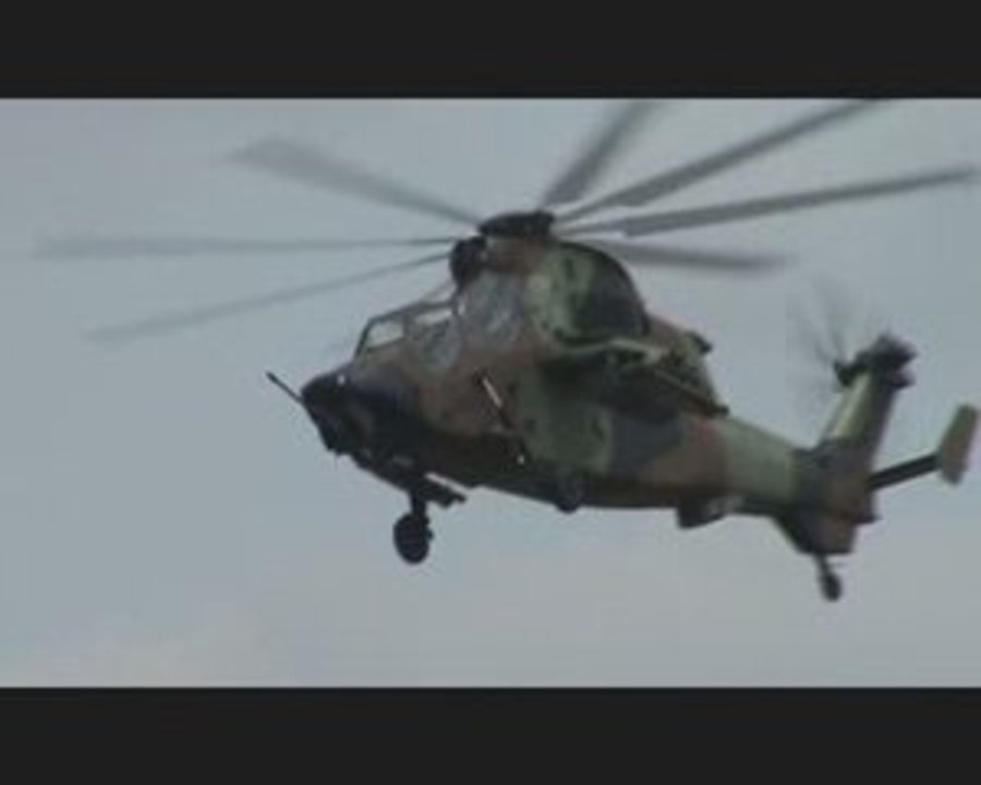 Vol du Tigre @ Meeting de Pau - 06/06/2009