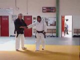 Nihon tai Jitsu - Séminaire Tours 2009 - Maître Hernaez