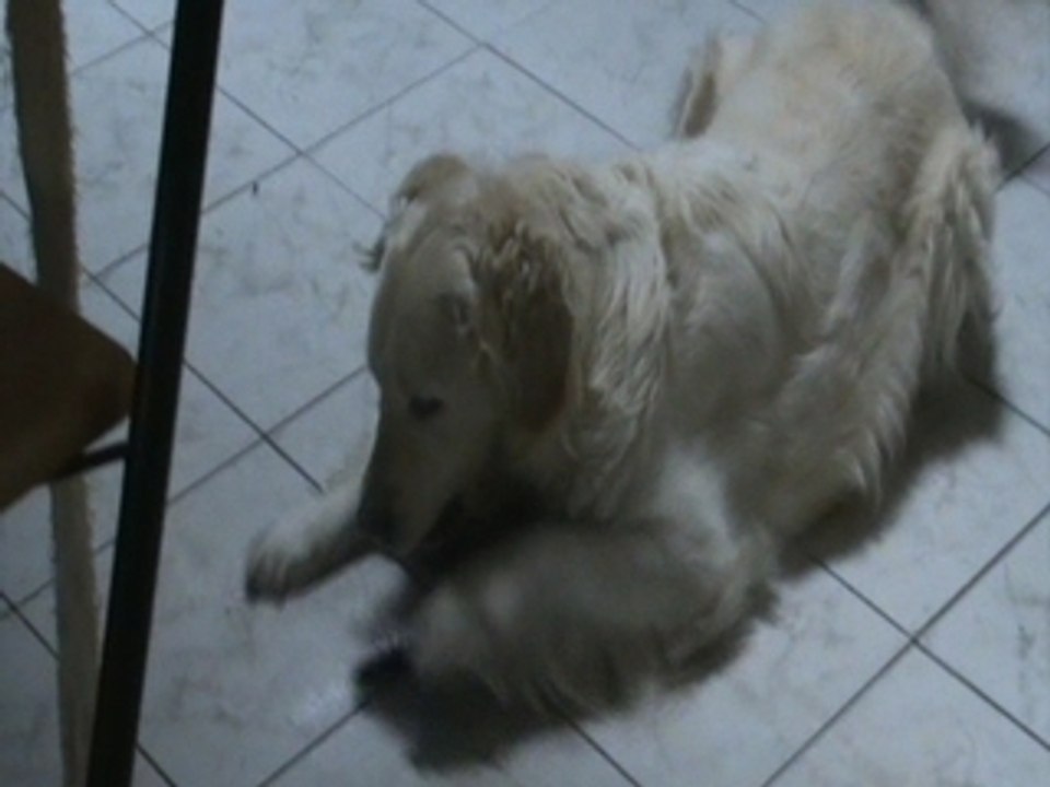 Gaïa fait du rodéo