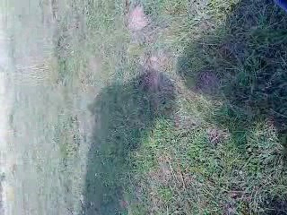 MOV00153