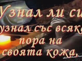 Виждал ли си? / Avez-vous vu? /