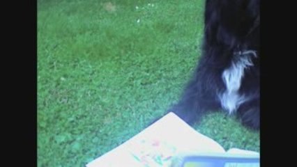 - VOLPI - aka Panteros666's magic dog