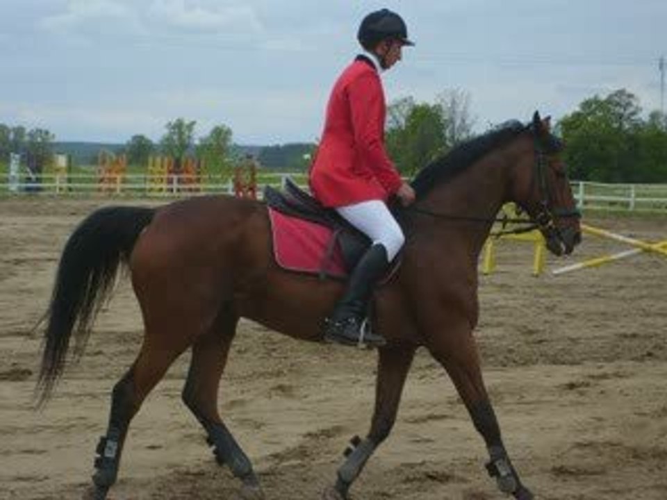 Mazury, Gałkowo Konie Stadnina Koni Państwa Ferensteinów i Klub Jeżdziecki, Masuren
