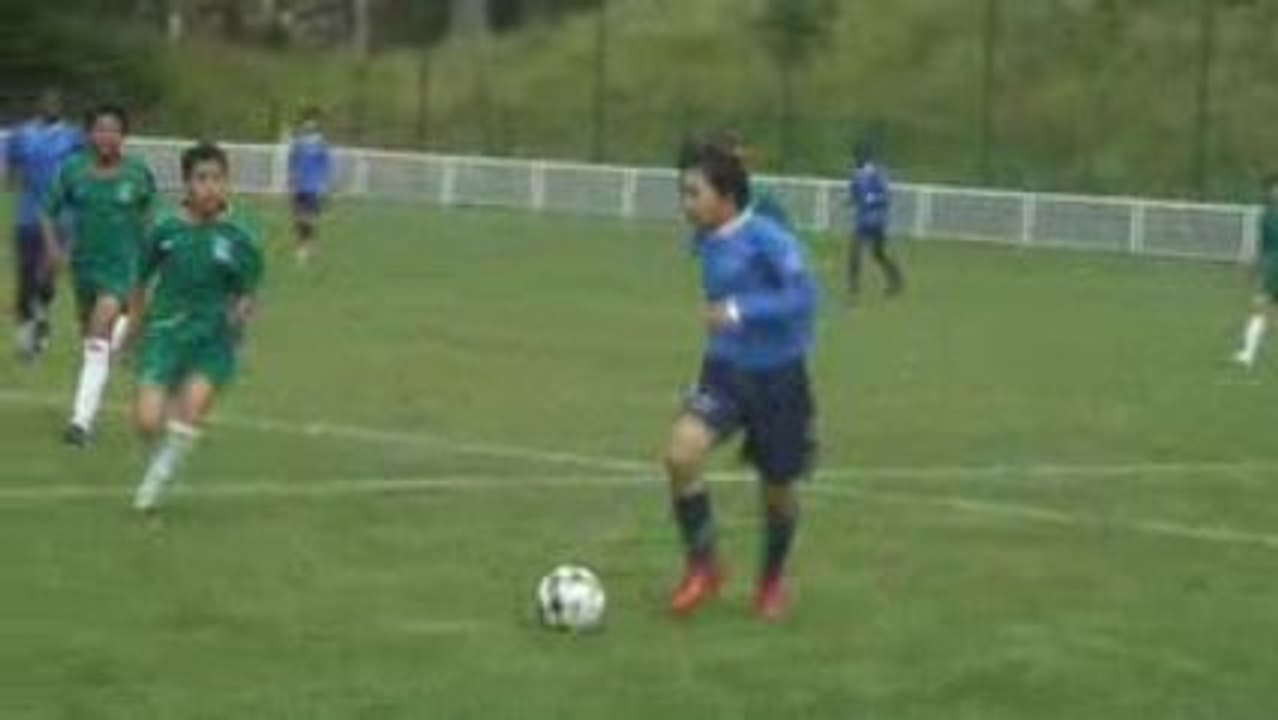 Salim