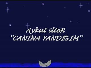 CANINA YANDIGIM, Aykut, Aykut ilteR, eski defter, zuzu, saf