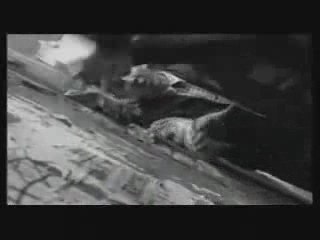 10 osób - Wspólna scena