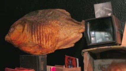 PlainBrownWrapper: PeepShow