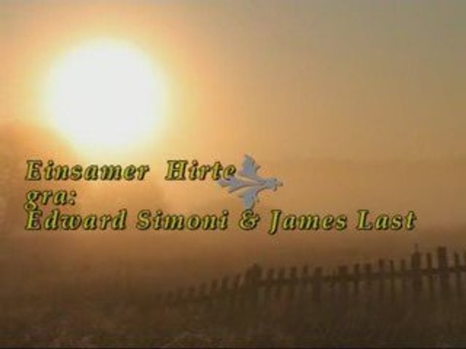 Ensamer Hirte