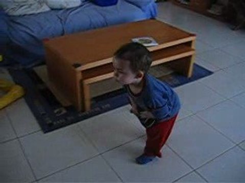 à la chasse aux mouches