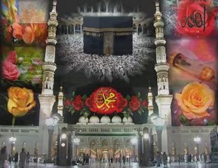 Şeyh Seyda Molla Hamid El-Abbasi Hz. (K.S)