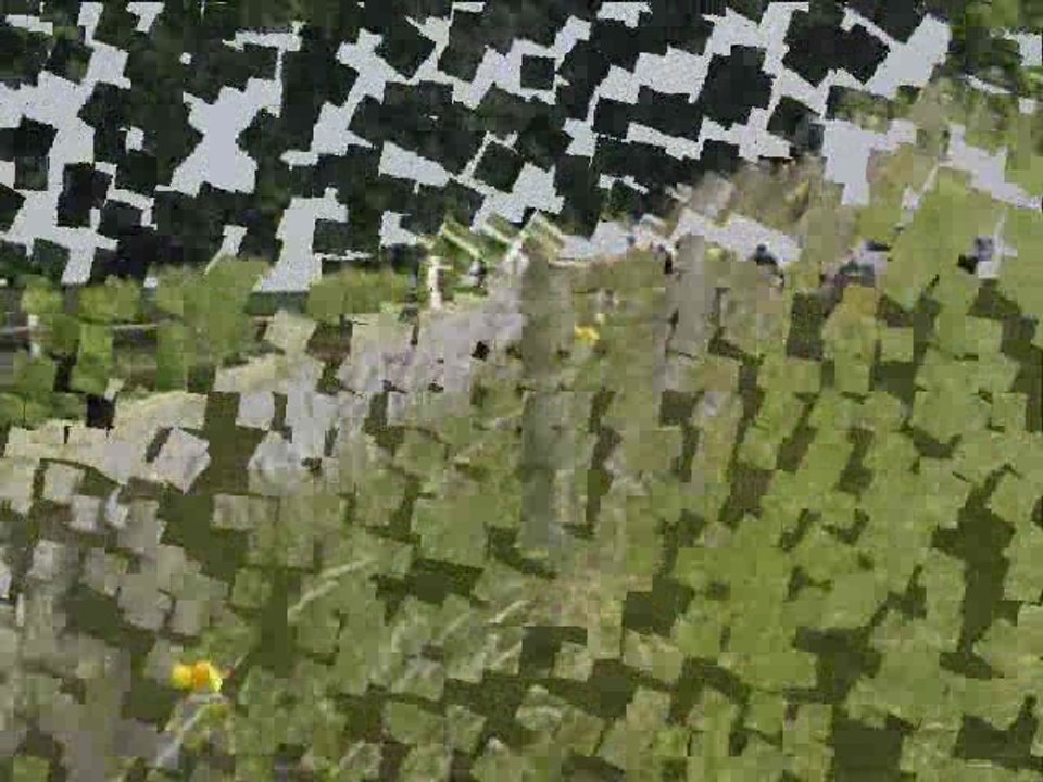 rallye du Treport 2009