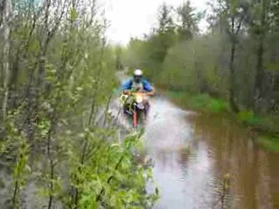 C'est pas des canards mais......