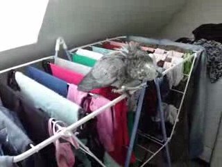 miko seche apres la douche