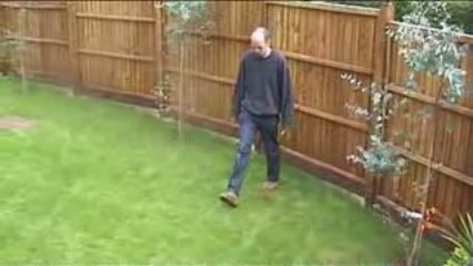 Tips on Gardening & Lawn Care for the Autumn  FT Evergreen