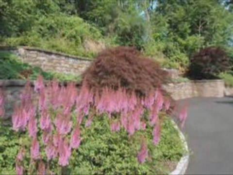 Innovative landscape specialists in Scenic Landscaping