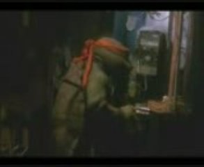 Las tortugas chintas sopa de tortuga,