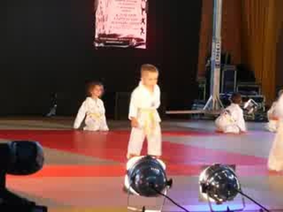 Gala taeckwondo