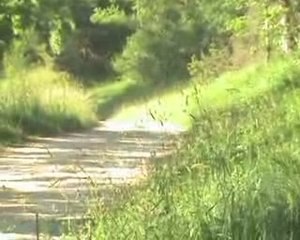 Rosko et ekla93 en 450 yzf part.2 aiiie (clip)