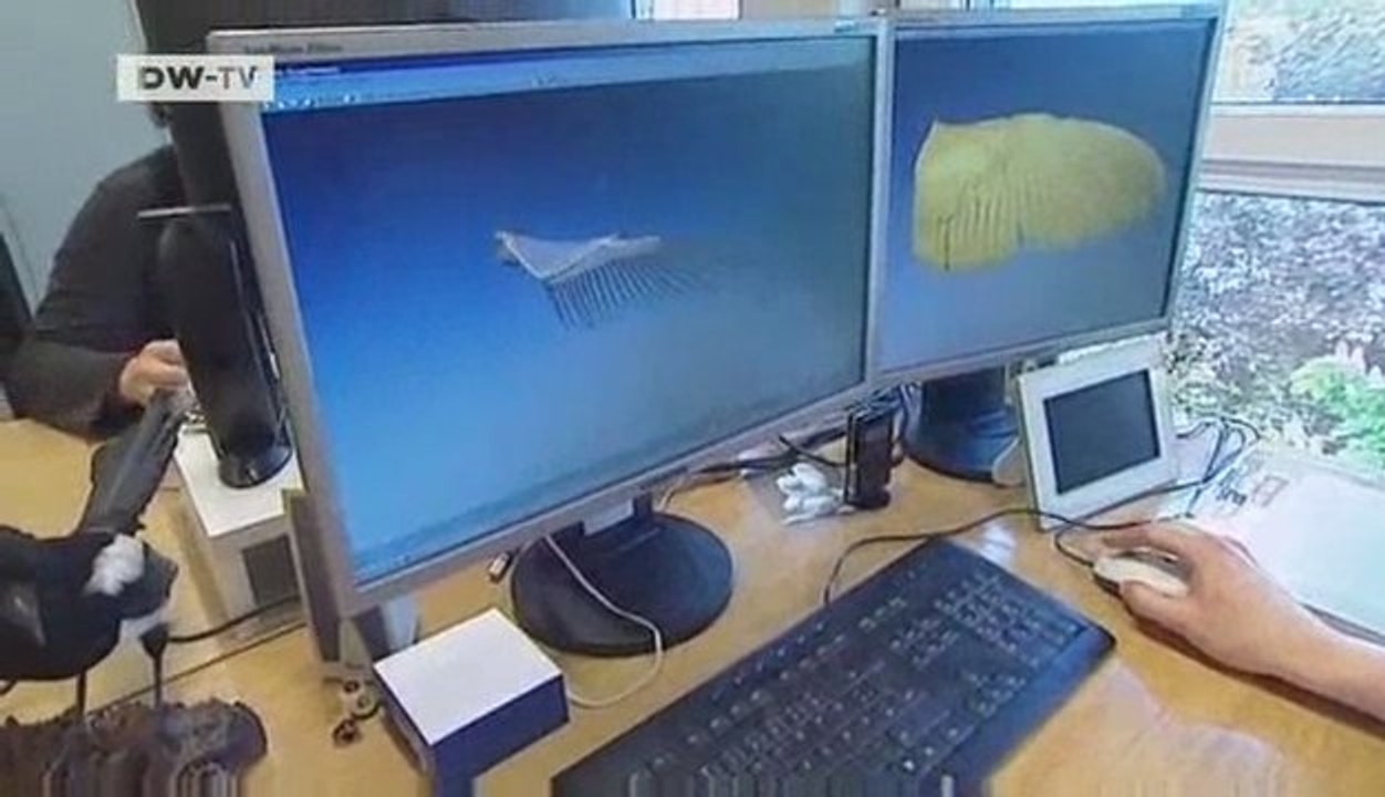 Video of the day | Drawing inspiration from owls