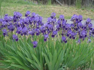 2em jour à Espi mai 2009