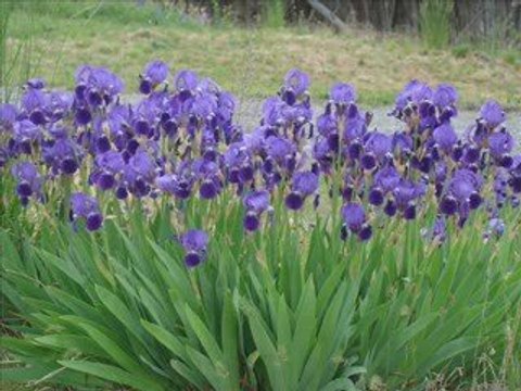 2em jour à Espi mai 2009