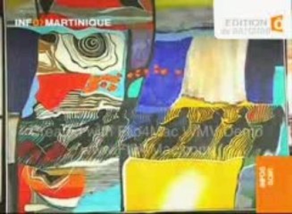 Téléjournal Rfo martinique Decembre08