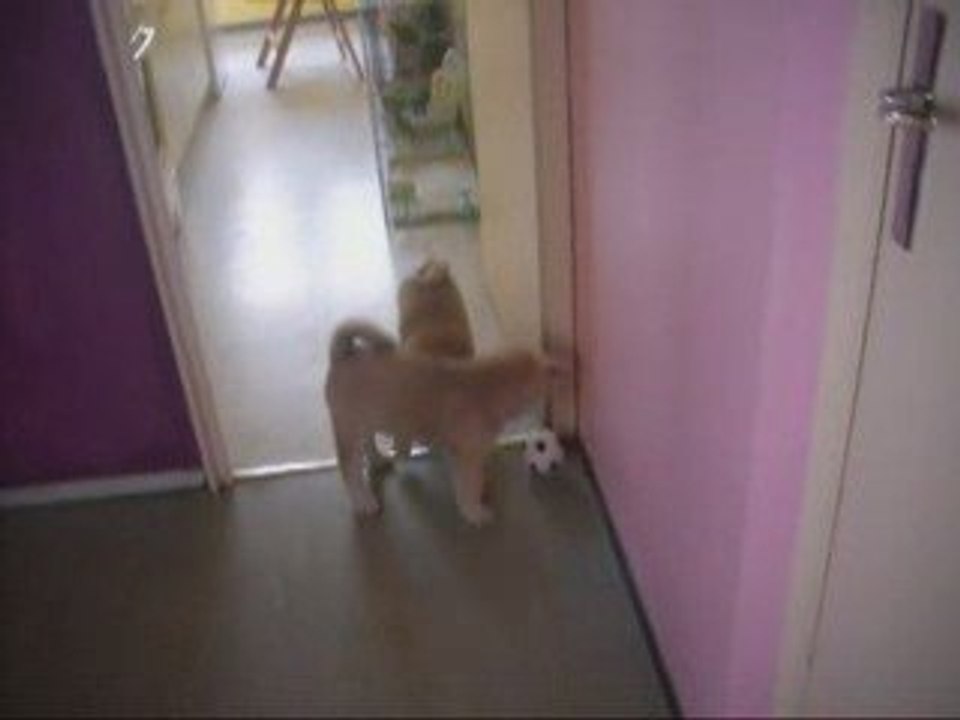 Emeraude et Tess le 8 Juin 2009