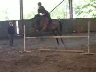 saut d'obstacle avec Fanou