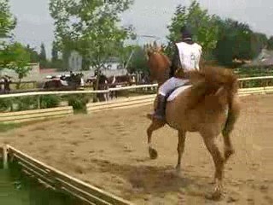 Dressage cerval