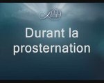 019  Durant la prosternation vostfr by tiss38din