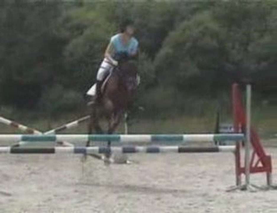 CSO aux Ecuries Delettres (Ogham et Galice)