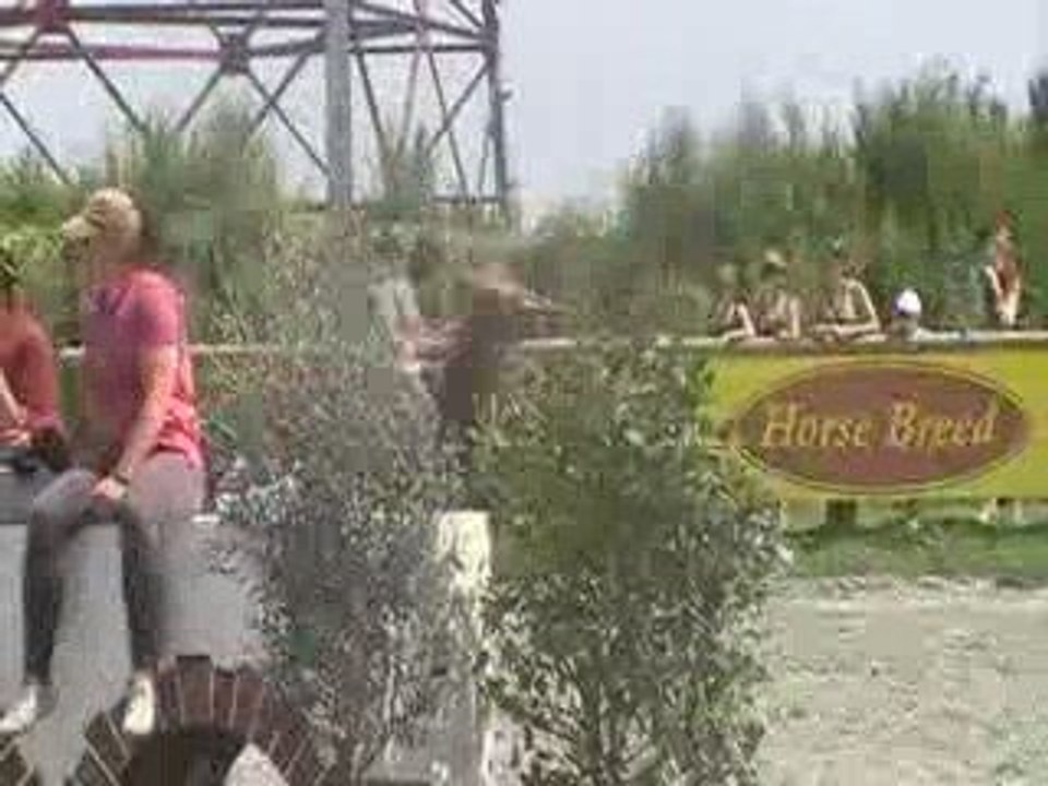 Igalfall Championnat de Bretagne Plabennec