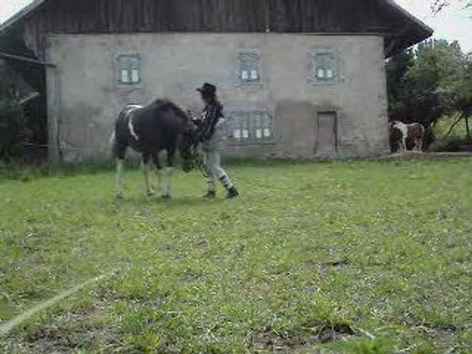 Luciole 7 juin 2009