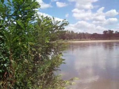 Bord de Loire à Bonny sur Loire