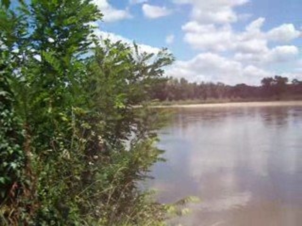 Bord de Loire à Bonny sur Loire
