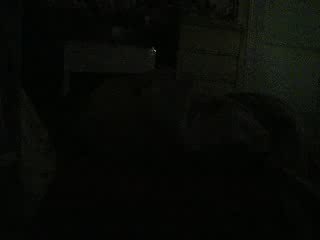 Ma fofolle de service