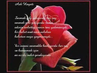 SİNEM - SENİ SEVİYORUM