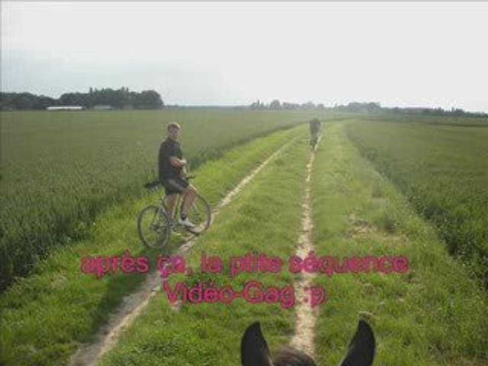 Chez Elo & Dam'S