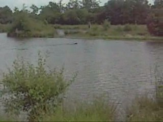 St Florent 09; Anne et Voice