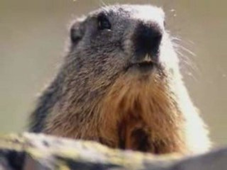 Bourg d'Oisans, une plaine au coeur des montagnes, l'automne