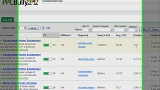 PPC Bully - Free Video Preview and Review plus Bonus