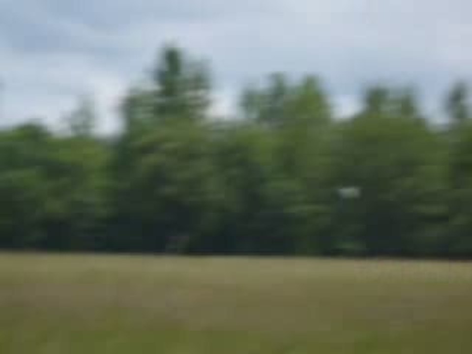 Aile volante : Antoinette