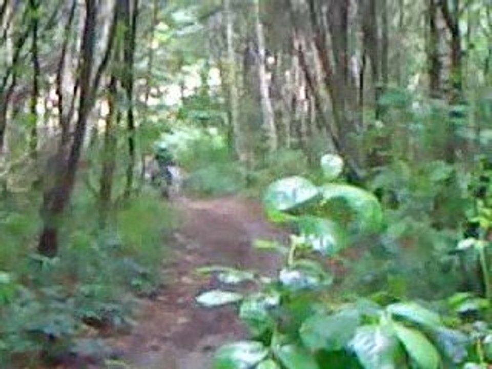 cross dirt  107 et 50