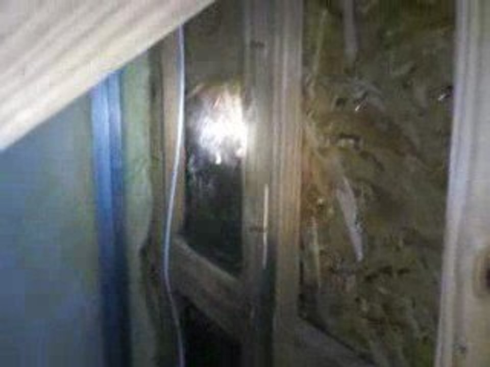 Jacksonville Home Inspector Finds Roof Leak