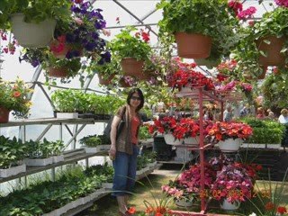 Mừng Sinh Nhật Fố HV một tuổi