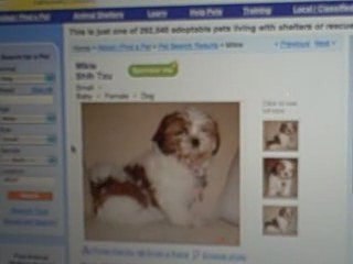 How to Use Petfinder.com for Pet Adoption