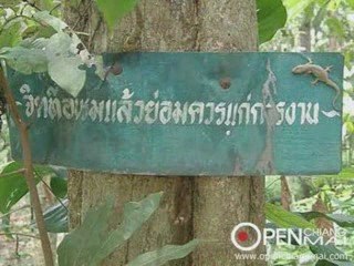 Chiang Mai News 09-06-2009